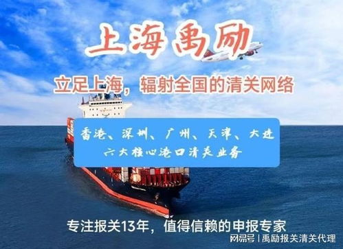 上海出口代理報關服務 專業商務代理，助您高效通關